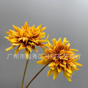 ^֧PUmcˇbҾӾջͨݻ͹ĵ