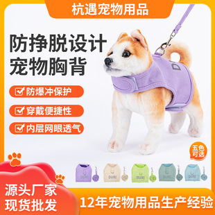 Fashionable and Stylish Cat Leash Anti-Escape All-Season Breathable Pet Harness for Cats and Dogs Outdoor Anti-Explosion