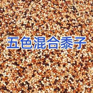 ����B�Z�Bʳ�B���W�^��ϻ�Ƥ���Pĵ����ɫ����ʳ�����250g����