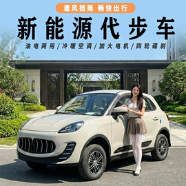 电动代步车;高尔夫球车;其他电动车