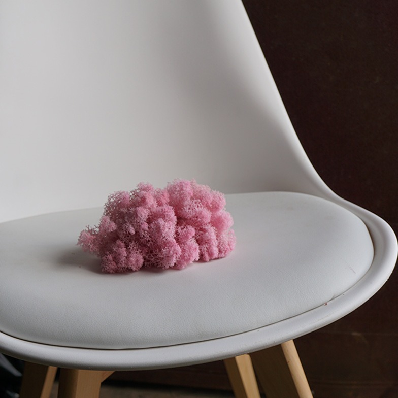 Yunnan fábrica de musgo flor eterna flor seca decoración del hogar gran cantidad Congyo