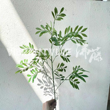 �����~���~�����֦���~��Y�õ���b��Ŀ͏d�bzӰ���߲廨