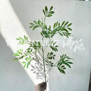 �����~���~�����֦���~��Y�õ���b��Ŀ͏d�bzӰ���߲廨