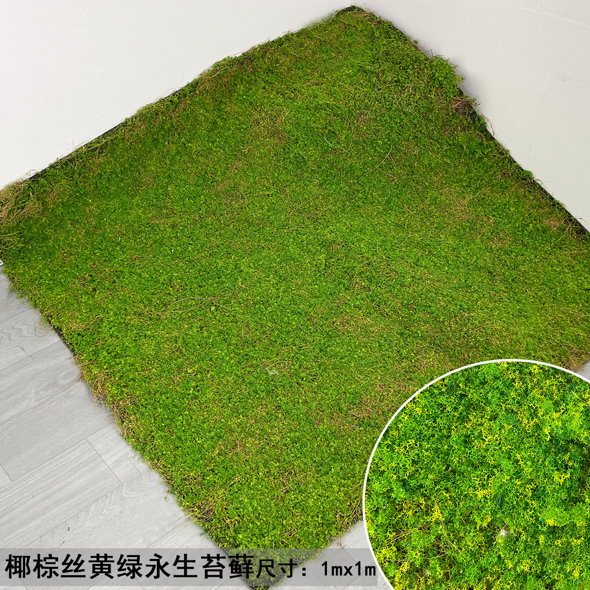 椰棕丝黄绿永生苔藓