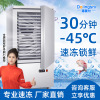 速冻冰柜零下45度低温冷冻冰箱包子海鲜小型风冷急冻柜商用速冻机|ms