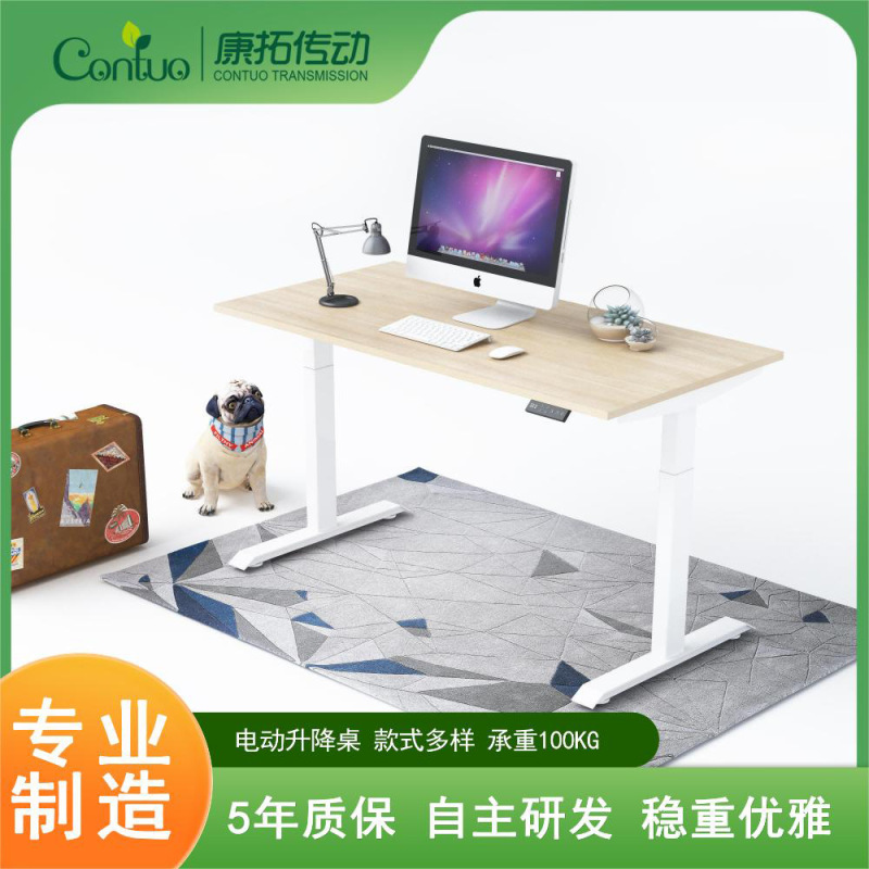 Kangtuo Standing Lift Table, Dual-Use for Standing and Sitting, Smart Electric Adjustable Computer Desk for Office and Study