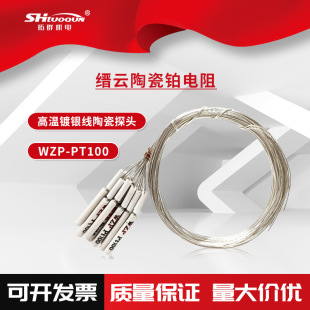 NWZP-PT100 մK ߜմK ͜600 PT100о