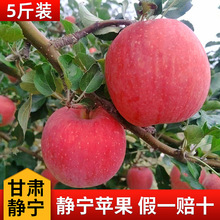 2025����C�o�����r�Fժ����ɽ�ؼt��ʿ�O����ˬ����ȫ�t�ؼ��O��