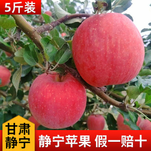 2025����C�o�����r�Fժ����ɽ�ؼt��ʿ�O����ˬ����ȫ�t�ؼ��O��