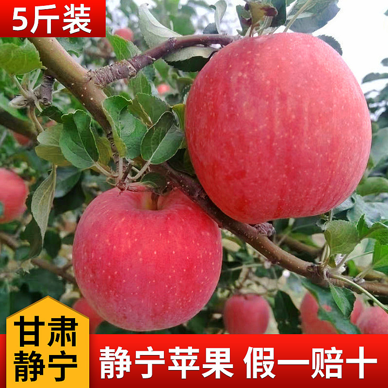 2026 Gansu Jingning Fresh-Picked Seasonal Mountain Red Fuji Apples, Refreshing, Crisp, Sweet, Fully Red, Premium Quality Apples