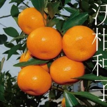 ���ڏV���̷ָN�����ӷN�����ԟo�������ϱ������ٹ���Nֲ