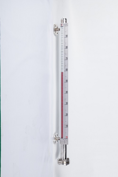 侧装磁翻板液位计 型号 BM26/P/R/F/C/K8(0-800mm) 库号  M2022