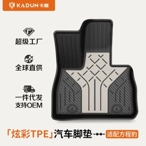 Suitable for Fang Cheng Bao Titanium 7, Titanium 3, and Leopard 5 Flash Charging Version Special Car-Specific Colorful Tpe Car Floor Mats and Trunk Mats