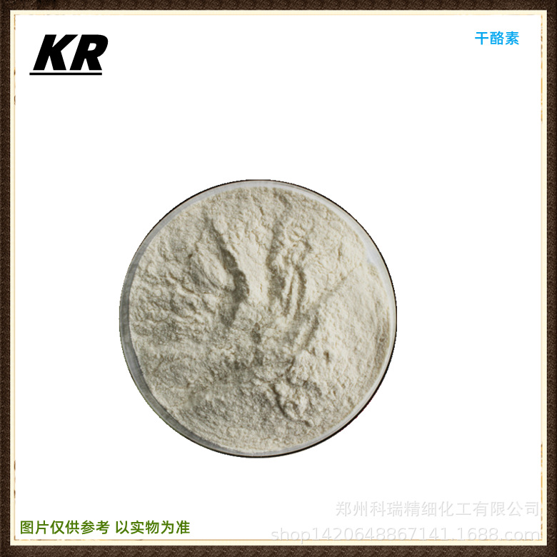 酪蛋白增稠剂乳酪素干酪素 现货干酪素稳定剂食品添加剂