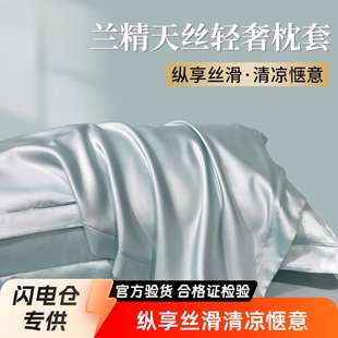 Tencel Summer Pillowcase Double-sided Silk Pair Pack High Branch Ice Silk Cool Set 48x 74cm Light Luxury
