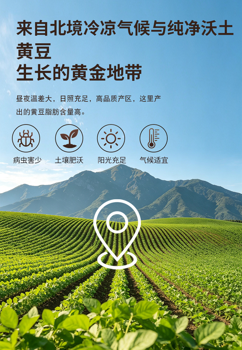 Instant Soy Milk Powder Dou Nai Fen Bulk Breakfast Drink Mix 500g Sweetened Original Flavor preparation