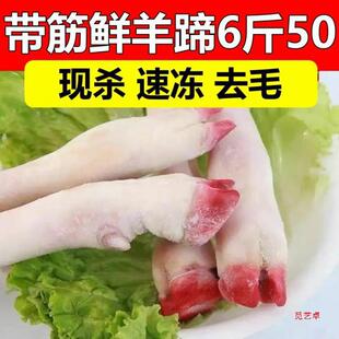 �������r����ɽ������������������㎧�����_������ϐ�ӬF���l؛