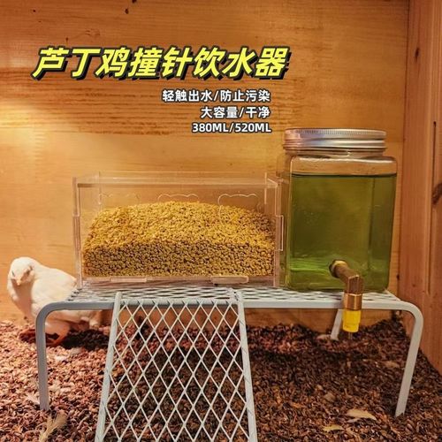 Rutin chicken feed box large capacity chicken striker kettle drinker bird quail splash automatic feeding and watering supplies