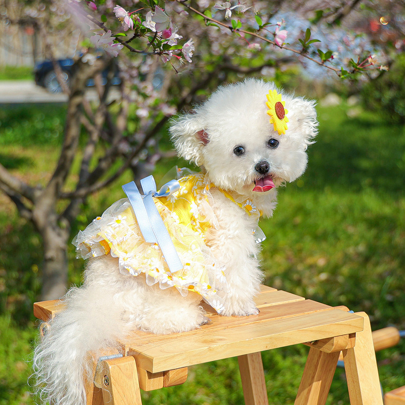 スポットクロスボーダー人気ペット子犬猫服ソース工場直販春夏デイジーフラワーサスペンダースカート|undefined