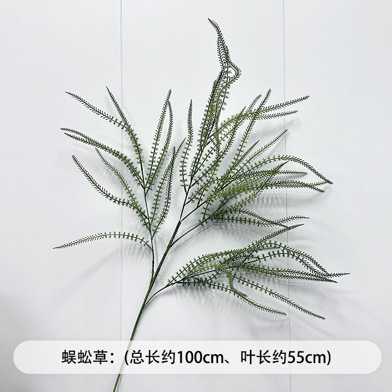 芦荀草绿植花龙须草假花白绿森系婚庆装饰自然风背景插花路引|undefined