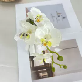 仿真花;仿真绿植;仿真果蔬
