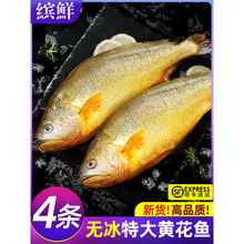 �S���~���r����ش��S�~�r�����r��~�S�~��С�S�~������������