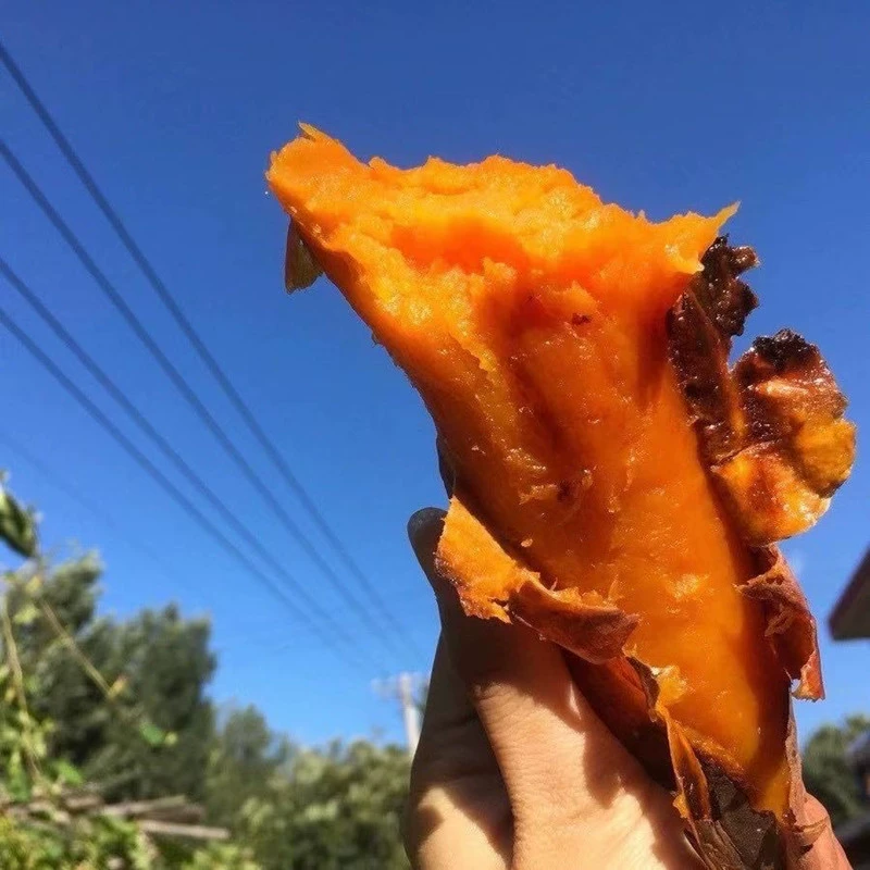 [Shandong Yanshu No. 25 Honey Sweet Potato Roasted Sweet Potato] 2.5kg свежескошенных и отправленных свежих фруктов, овощей и цельнозерновых продуктов