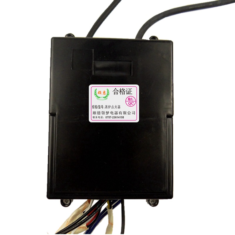 Horno de vapor King de doble estufa comercial de encendido único/horno de envoltura de vapor controlador de encendedor máquina de fideos de arroz gabinete de vapor accesorios de horno de fideos image 7