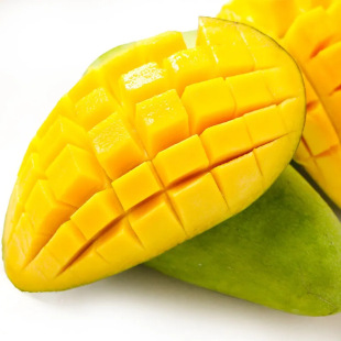 Խ�Ͻ��â����â���V���l؛���]���âˮ��âһ�����l