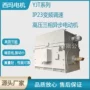 西安高压异步变频电动机