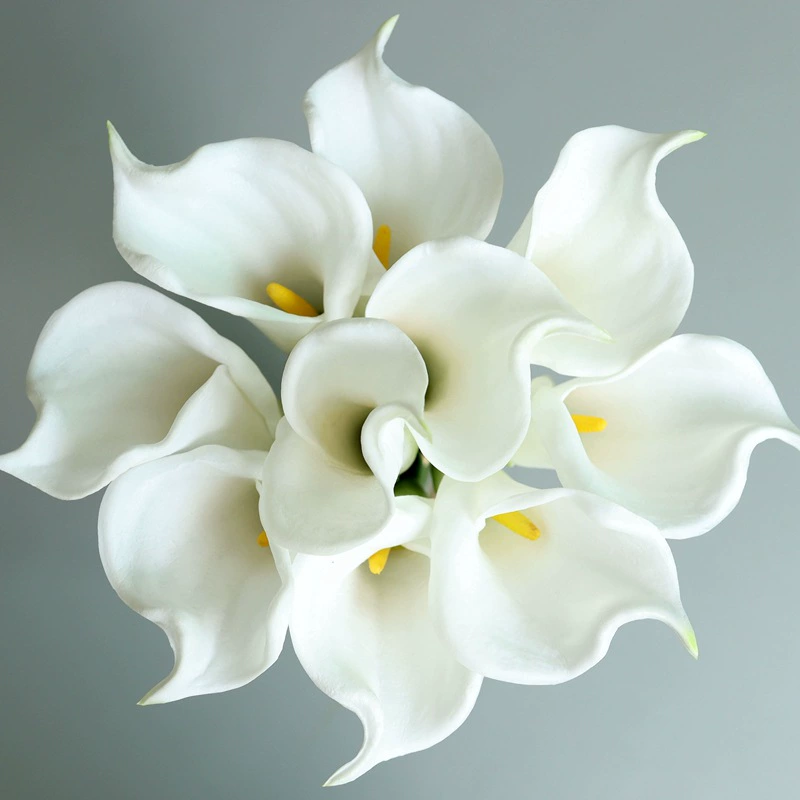PU Calla Lilies (Polyurethane) Realistic Large Stem, 45/65 cm — Wholesale Decorative Flowers