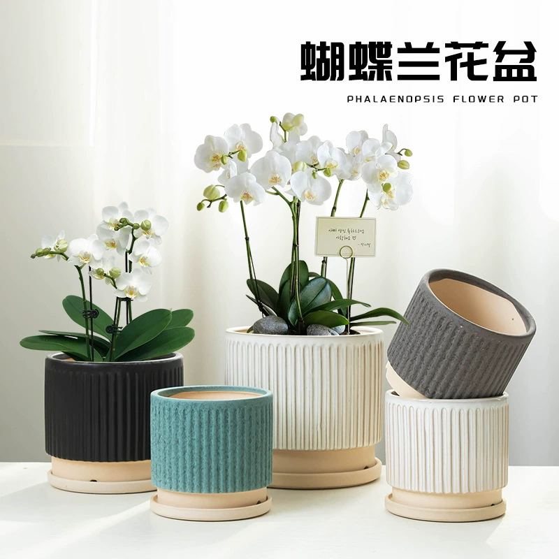 Цветочный горшок фаленопсис Скандинавское простое офисное украшение для внутреннего рабочего стола с подносом большое зеленое растение дышащая Керамика Оптом