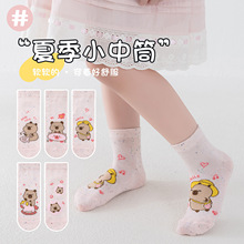 ��Ƥ������ͯ�m�����l2026��Ʒ�ɐۿ�ͨŮͯ��Ͳ�m�W���к������m