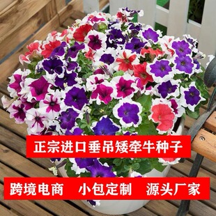 �M�ڴ�������ţ���N�Ӱ���ţ�N�������׷N�������N�ļ������ܷN��