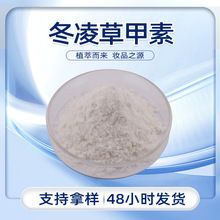 现货直发白色结晶粉末水溶性佳稳定性高化妆品原料冬凌草甲素