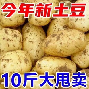 ���C����ɳ���������r�SƤ�S�Ĵ�����С�R����r���ԷN�߲�