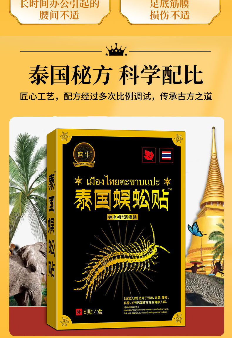 Thai Style Herbal Patch for Neck and Lumbar Support 12x9cm 6 Patches per Box specifications