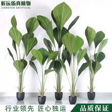 ���ͱ�ŷins�������ֲ�����װ�ΰڼ������Է������Ŵ����辰