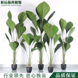 ���ͱ��Wins�L��W�tֲ������b[�������Է����K�T���D�辰