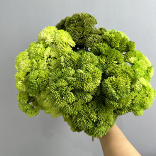 软胶米仔果仿真花厂家 绣球果假花手感多肉植物软装花艺软胶花菜