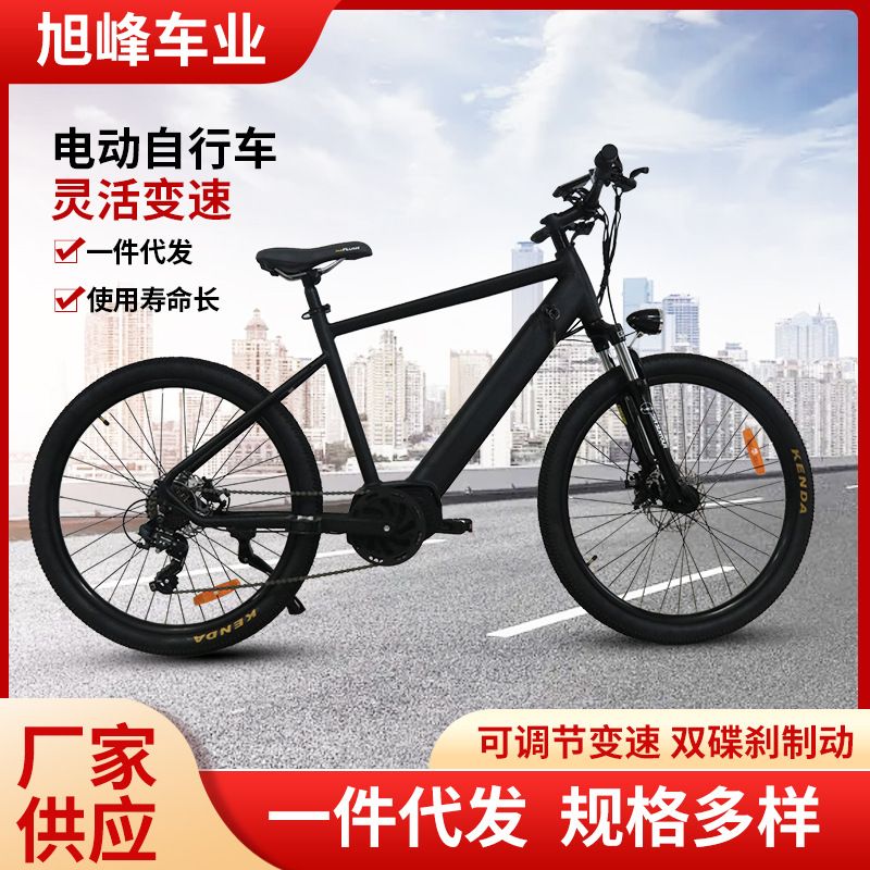 XFB-610出口电动自行车电动单车电瓶车锂电中置电机电动车