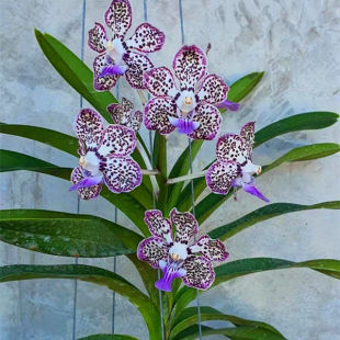 �¿�̩���f���m���粻������ԭ����1���m���ܻ�����}ʯ���m