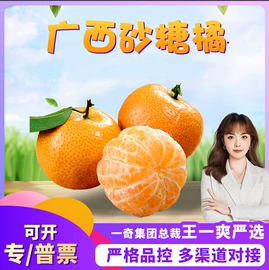 苹果;橙;其他水果