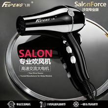飞鹏6600专业发廊大功率家用冷热静音负离子理发店专用吹风筒跨境