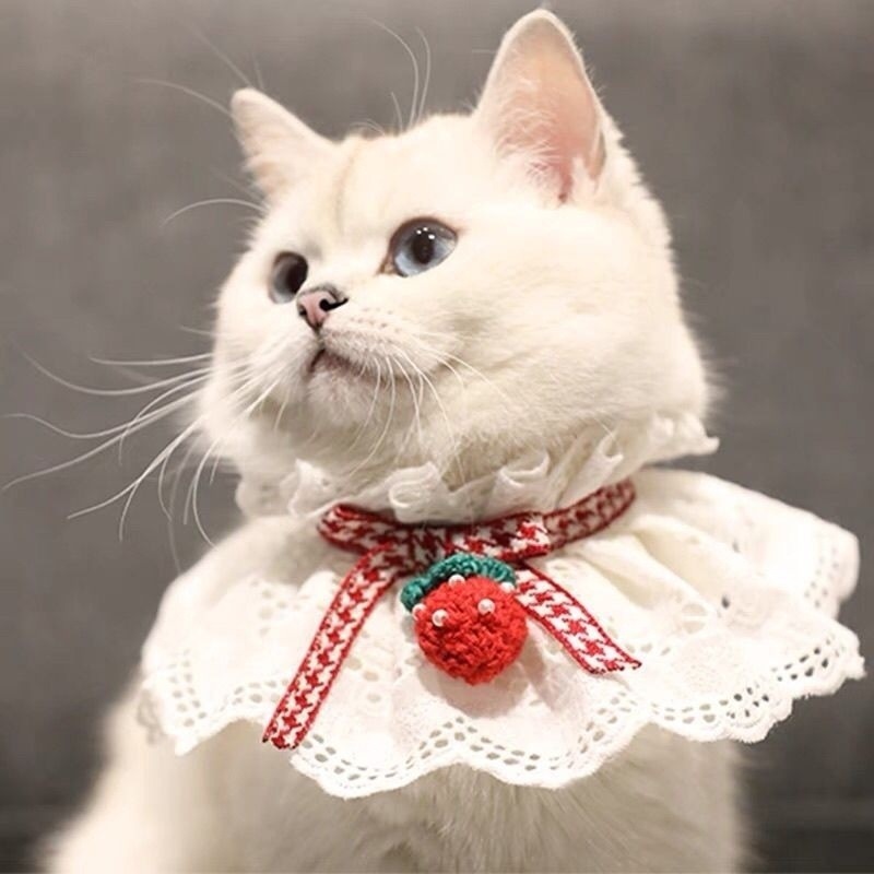 猫の首を囲むクリスマスのよだれレースのぬいぐるみペットの犬のマフラーの装飾の蝶ネクタイの猫の装飾品の犬のよだれかけ|undefined