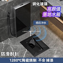 黑色蹲便器蹲坑式 防臭蹲便池家用落地冲水箱感应水箱整套装