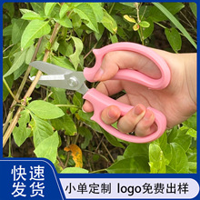 �S�ҬF؛���P䓻�ˇ�������@���߼����Ӻ���Џ����@�ּ���