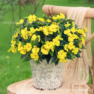 �羳���R�d���滨�P�ɻ������ٻ�������c�Ż��@�ּҾӔ[�����N��