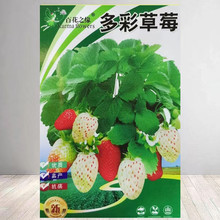 多彩草莓种子原装新品种红草莓彩色白草莓种籽孑阳台盆栽网红水果