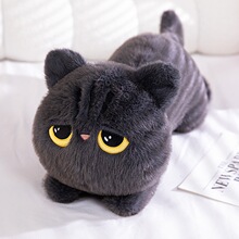 ���ֵſ��؈�䱧���ЋD���ς�˯�A���L�l��������ż���^�󿿱�Ů
